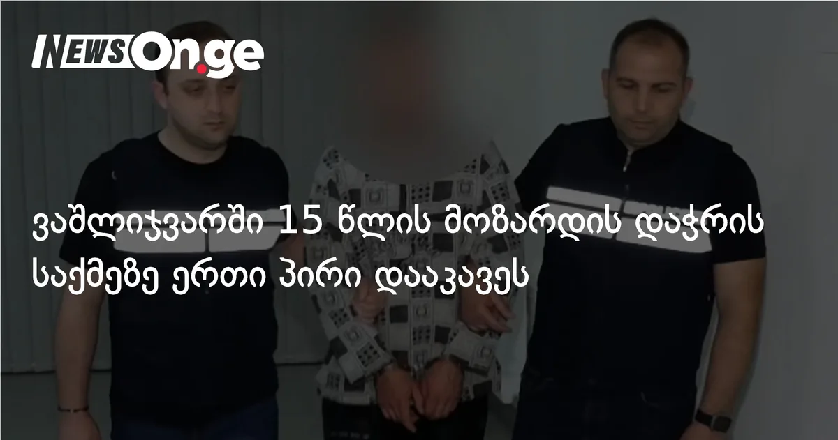 ვაშლიჯვარში 15 წლის მოზარდის დაჭრის საქმეზე ერთი პირი დააკავეს