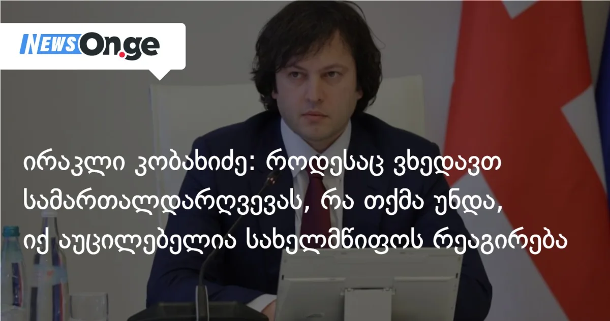 კობახიძე და მდინარაძე სპეცრაზმელების საქმეზე: „ძალის გადამეტება დაუსჯელი არ დარჩება””