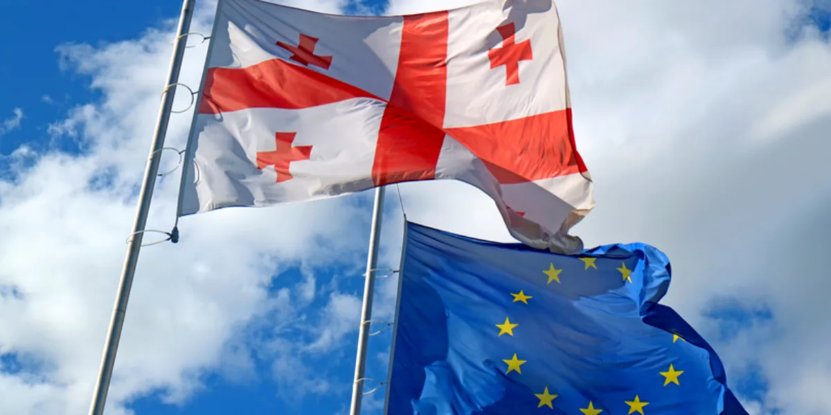 ევროპის დღეს ქართული ახალგაზრდული ორგანიზაციები ევროკავშირის ლიდერებს ღია წერილით მიმართავენ