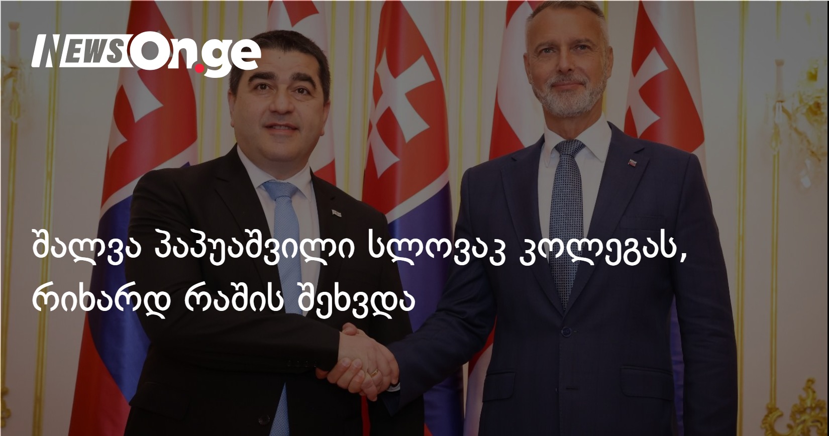 პაპუაშვილი სლოვაკეთის პარლამენტის სპიკერს, რიხარდ რაშს შეხვდა