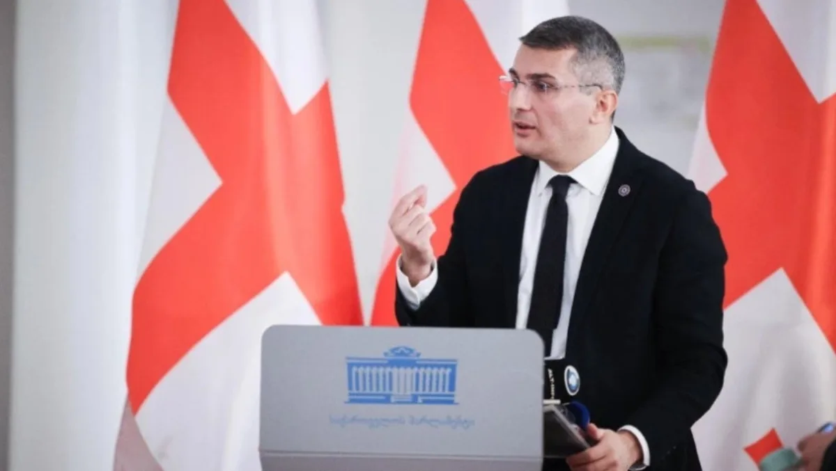 მდინარაძე: აქციებზე დაკავებულების შეწყალება მიზნად არ უნდა ქცეულა — პრეზიდენტის დისკრეციული გადაწყვეტილებაა