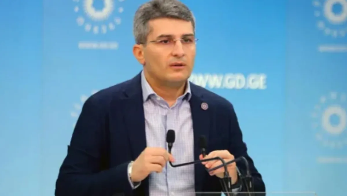 მდინარაძე ღარიბაშვილის შეწყალებაზე: „სურვილებზე ნუ გადავალთ”