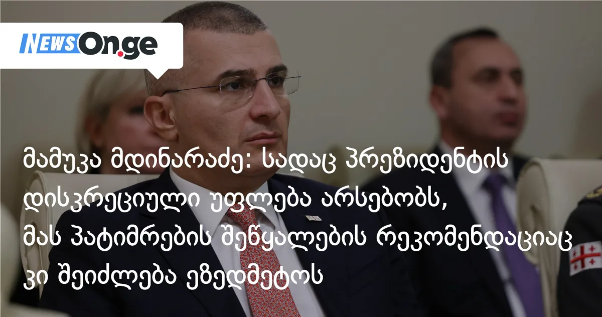 მდინარაძე: სადაც პრეზიდენტს დისკრეციული უფლება აქვს, მას შეწყალების რეკომენდაციაც კი შეიძლება ეზედმეტოს