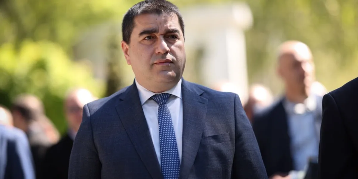 პაპუაშვილი პარლამენტში ჟურნალისტთა აკრედიტაციის გამკაცრებაზე საუბრობს