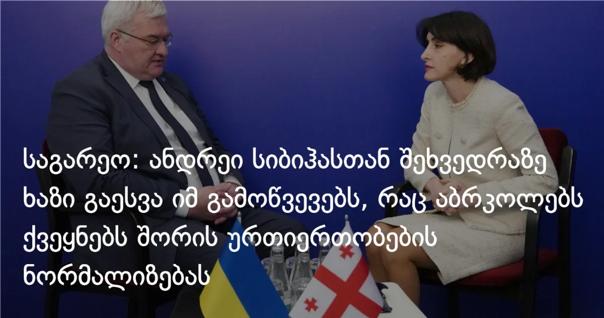 ბოჭორიშვილი კიშინიოვში სიბიჰას შეხვდა — კითხვის ნიშნები გვაქვს, მაგრამ მცდელობები პოზიტიურია