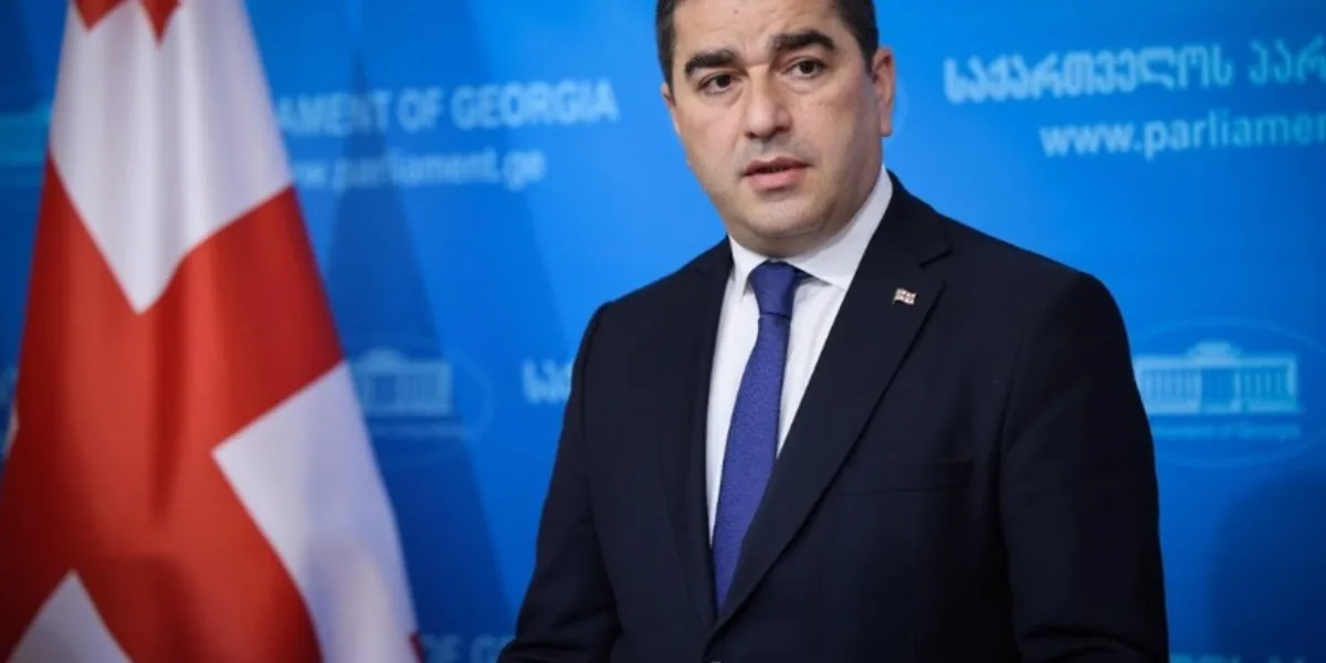 შსს-ში სიძულვილის ენის მონიტორინგის სამმართველო შეიქმნება — კრიტიკა ცენზურაზე