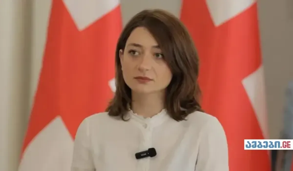 ანა ბუჩუკური კობახიძეზე: „ადამიანის უფლებებს გადასარევად გვასწავლიდა — ახლა საკუთარ სახელმწიფოს წინააღმდეგ იყენებს”