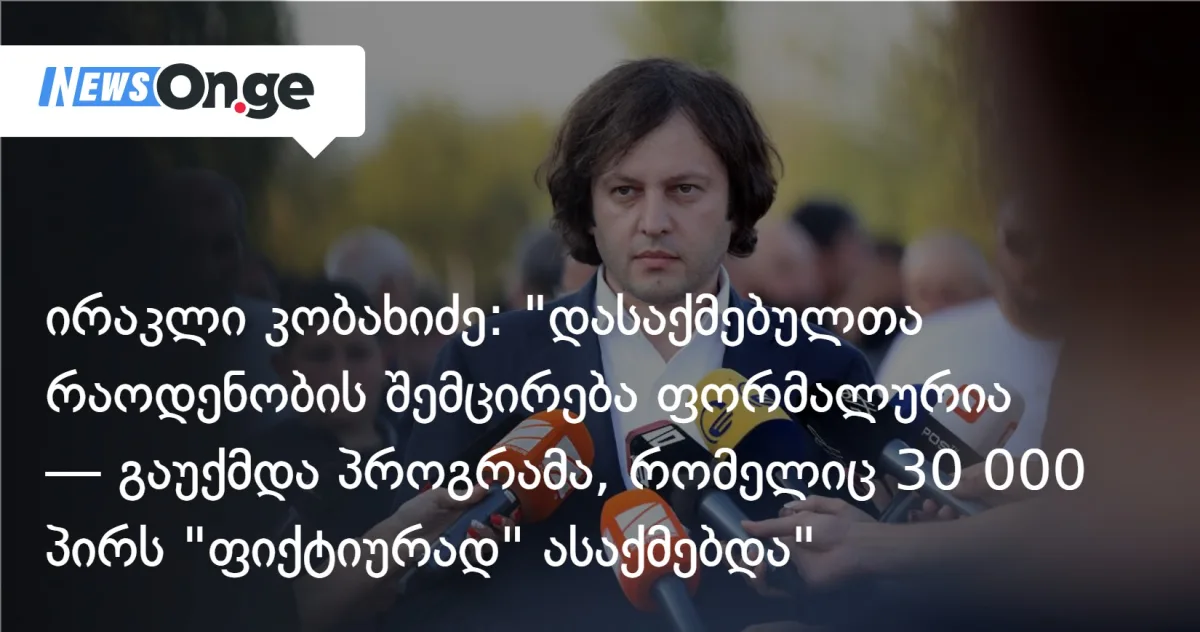 კობახიძე: 30 000 ადამიანი „ფიქტიურად” იყო დასაქმებული — გაუქმებული პროგრამა ამ ციფრს ამოიღებს სტატისტიკიდან