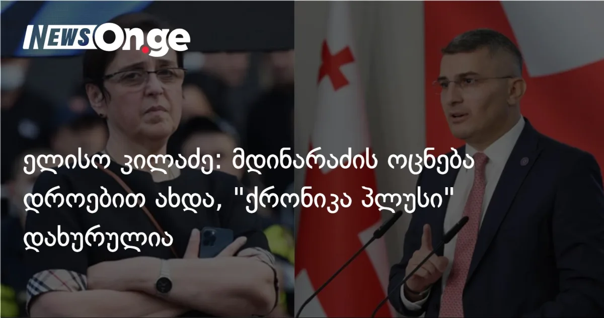 „მამუკა მდინარაძის ტყვე ვარ” — ელისო კილაძის საქმე „ქოლცენტრებისგან” გამოეყო, განხილვა დაიხურა