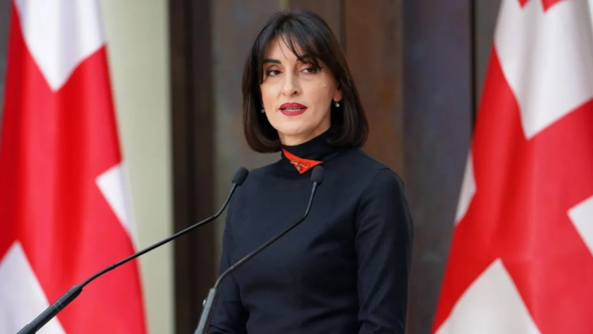 მაკა ბოჭორიშვილს საგანგებო და სრულუფლებიანი ელჩის რანგი მიენიჭება — ყოველთვიური დანამატი 1 360 ლარი