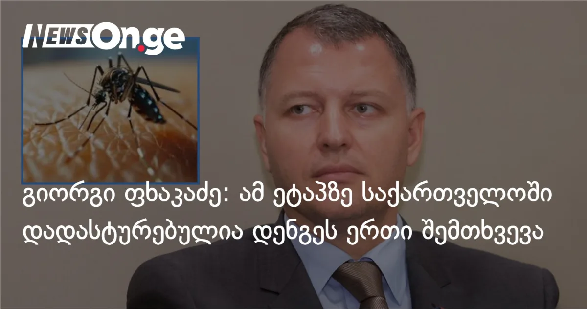 საქართველოში დენგეს პირველი შემთხვევა დაფიქსირდა