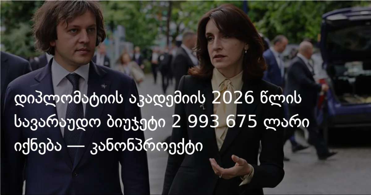 დიპლომატიის აკადემია: 2026 წლის სავარაუდო ბიუჯეტი 3 მილიონ ლარს გასცდება