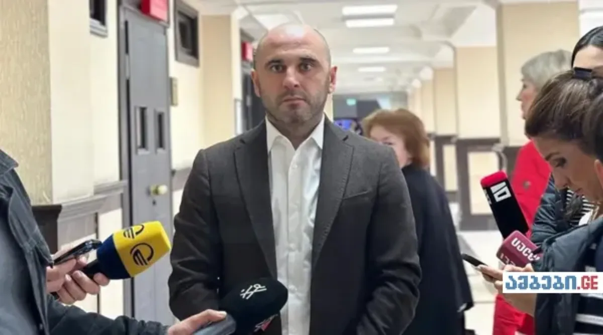 ხაბეიშვილი ციხიდან: კობახიძე „გამზადებულია დასაკლავად”, შემცვლელებად წულუკიანი და ქვრივიშვილი განიხილება