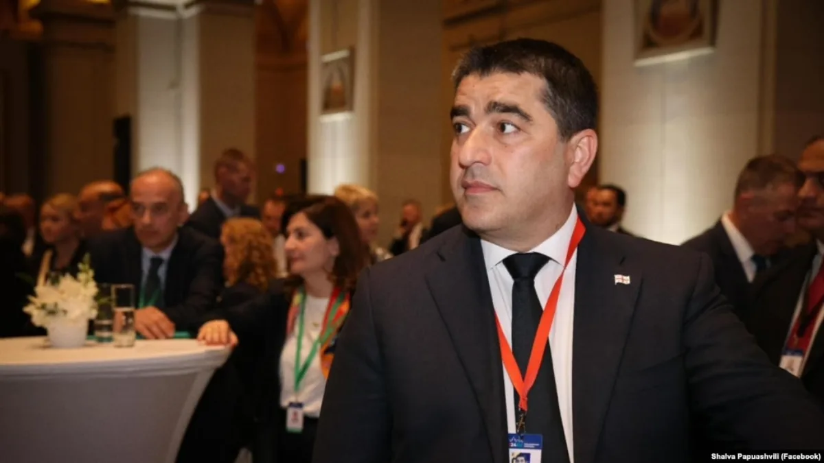 პაპუაშვილი: „ყველამ დაანებოს თავი დაზვერვას — მეგობრული მზვერავი არ არსებობს”