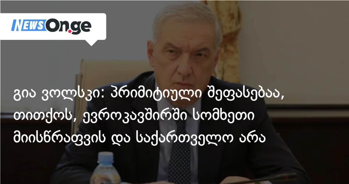 გია ვოლსკი: პრიმიტიულია შეფასება, თითქოს ევროკავშირში სომხეთი მიისწრაფვის, საქართველო კი — არა