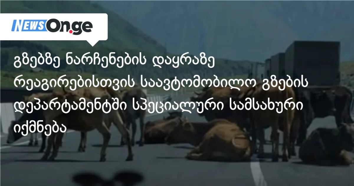 გზებზე ნაგვის დაყრისთვის ჯარიმას საავტომობილო გზების დეპარტამენტი გამოწერს — 25-კაციანი სამსახური იქმნება