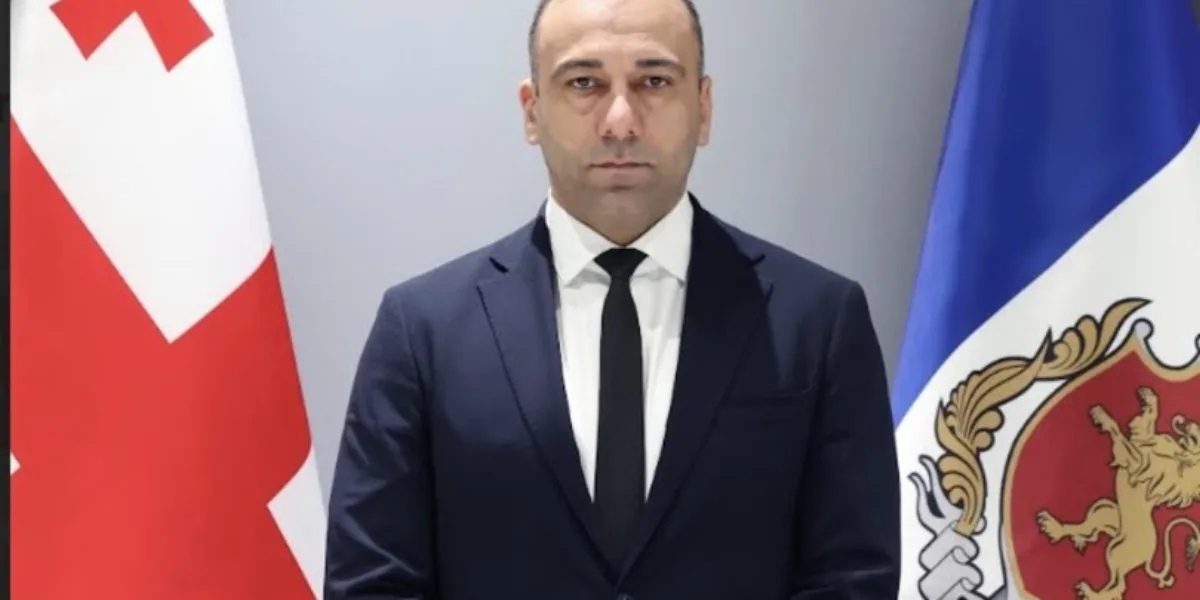 შსს-ს მოადგილედ გიორგი ბახუაშვილი დაინიშნა
