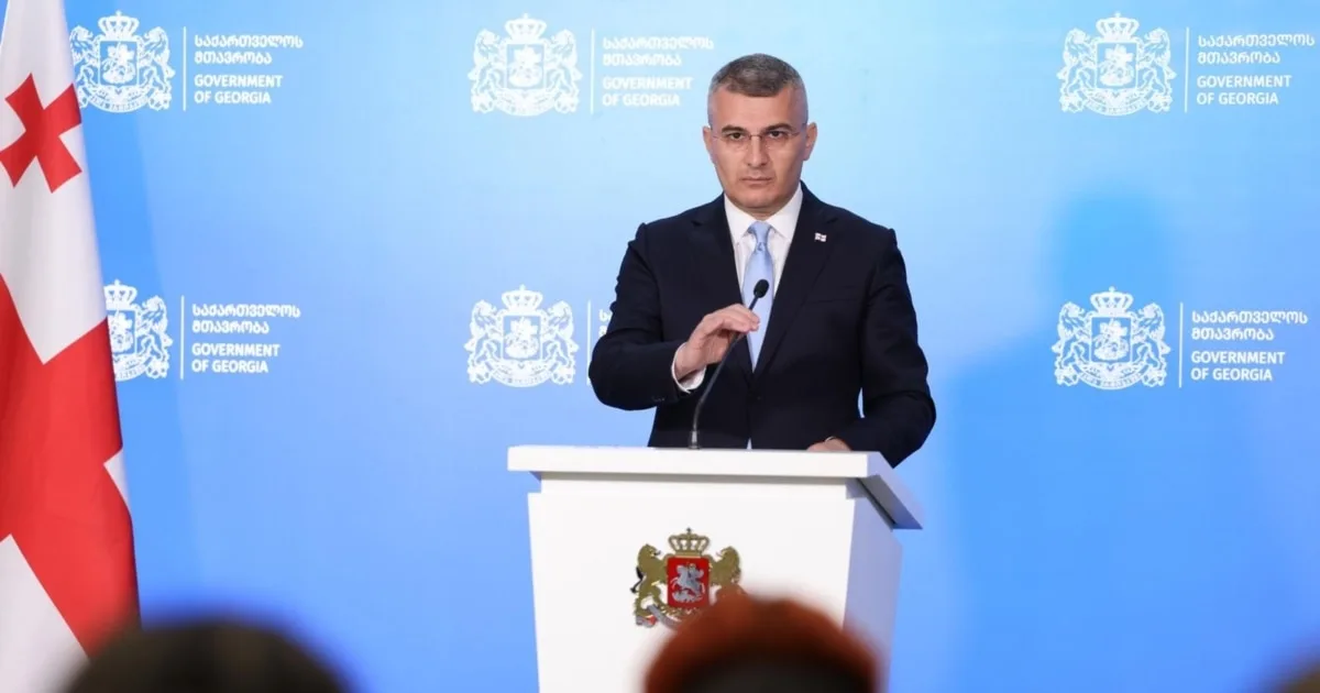 აუდიტის სამსახური ტენდერებს და სახელმწიფო შესყიდვებს რეალურ დროში შეისწავლის - მდინარაძე