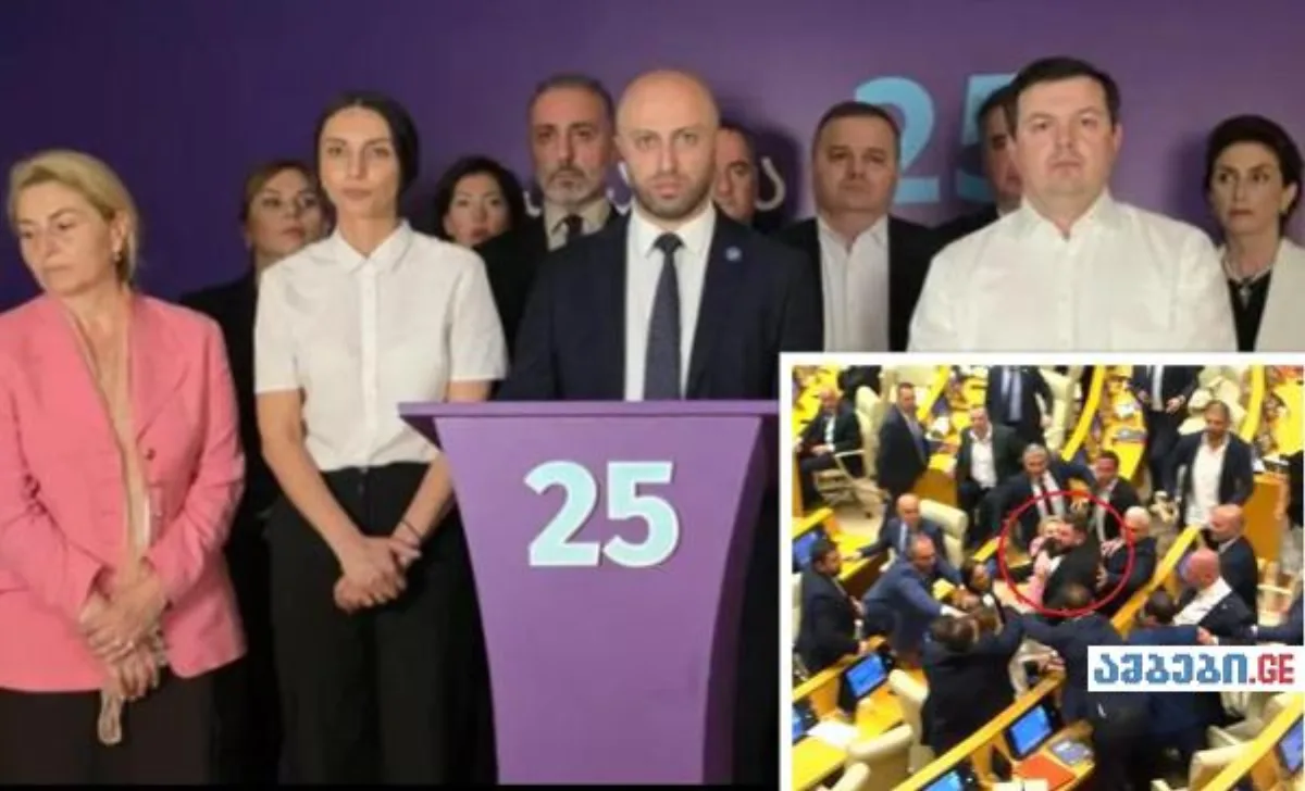 სამწუხაროდ ოცნებამ ოლიმპიური ჩემპიონები ქოც ზონდერებად აქცია პარტია - ბერდია სიჭინავა