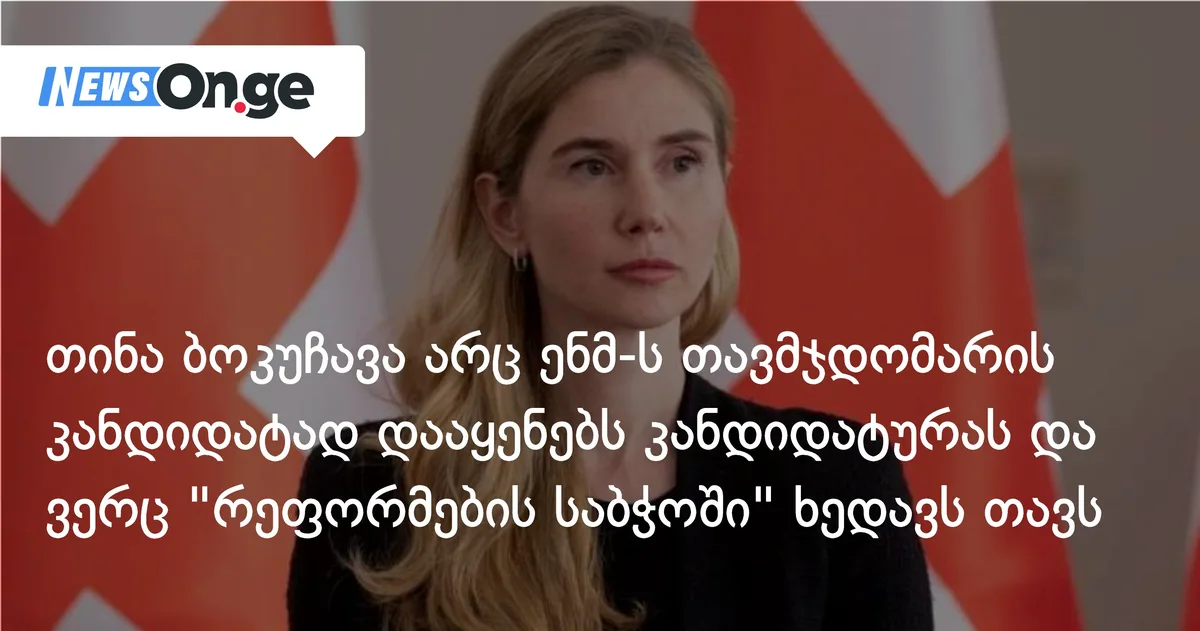 თინა ბოკუჩავა არც ენმ-ს თავმჯდომარის კანდიდატად დააყენებს კანდიდატურას და ვერც 