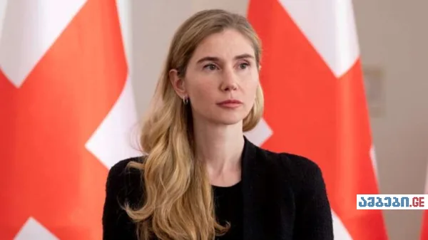 “მქონდა სინდისის ქენჯნა, რადგან 2 წლის წინ საზოგადოებას ვერ ვუთხარით რეალური მიზეზი, რის გამოც შეიცვალა პარტიის თავმჯდომარე“ - თინა ბოკუჩავა