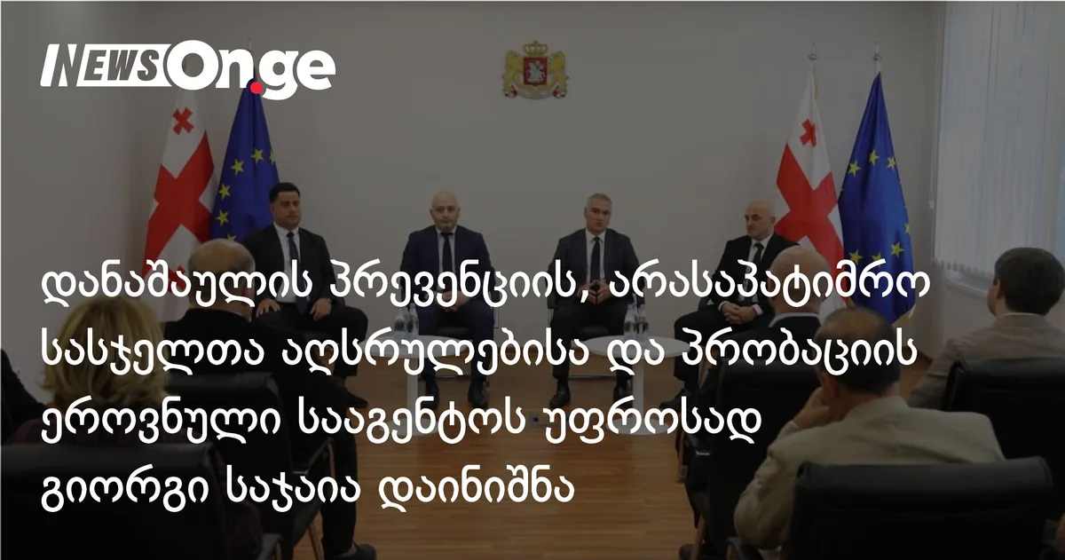 დანაშაულის პრევენციის, არასაპატიმრო სასჯელთა აღსრულებისა და პრობაციის ეროვნული სააგენტოს უფროსად გიორგი საჯაია დაინიშნა