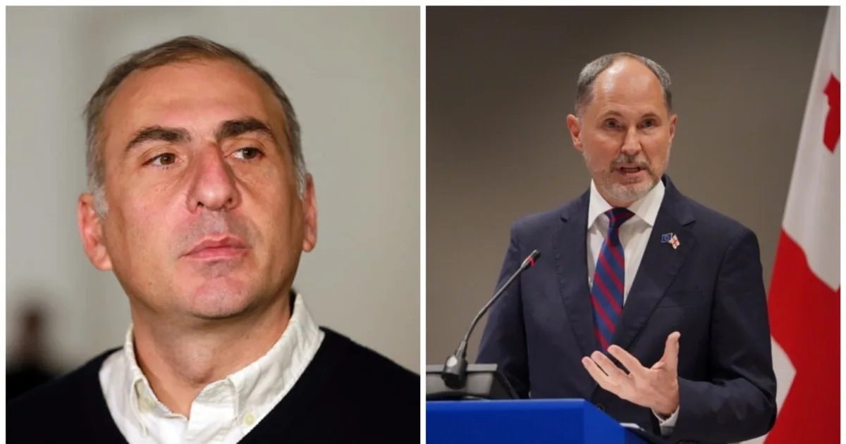 ევროკავშირის ელჩი ალეკო ელისაშვილის დაპატიმრებაზე: „ეს სასამართლო სისტემის საქმეა და არა ჩემი“