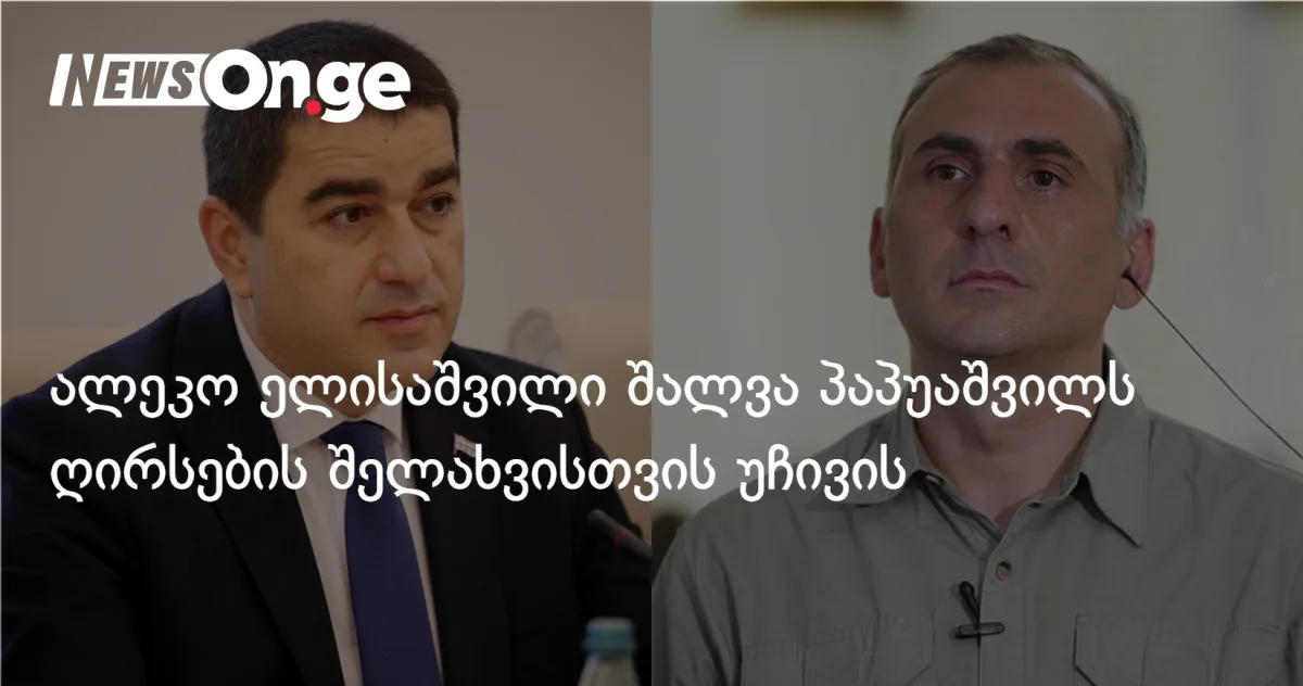 ალეკო ელისაშვილი შალვა პაპუაშვილს ღირსების შელახვისთვის სასამართლოში უჩივის