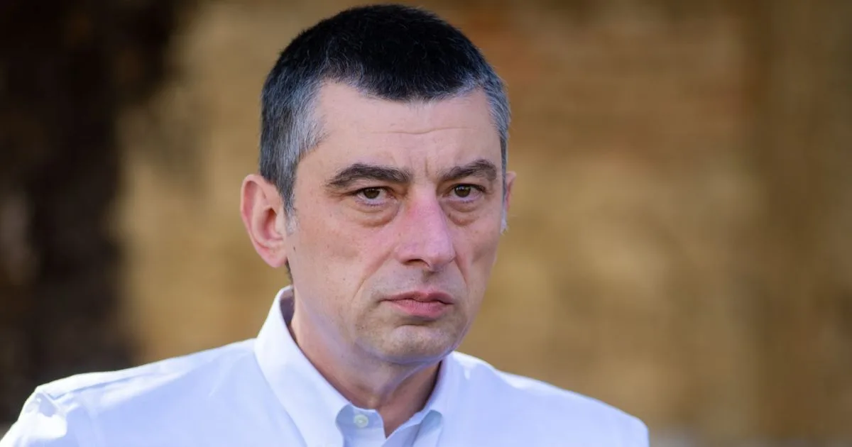გახარია: საქართველოში ოპოზიციაში ყოფნა ნიშნავს საკუთარი ფიზიკური უსაფრთხოების გარისკვას