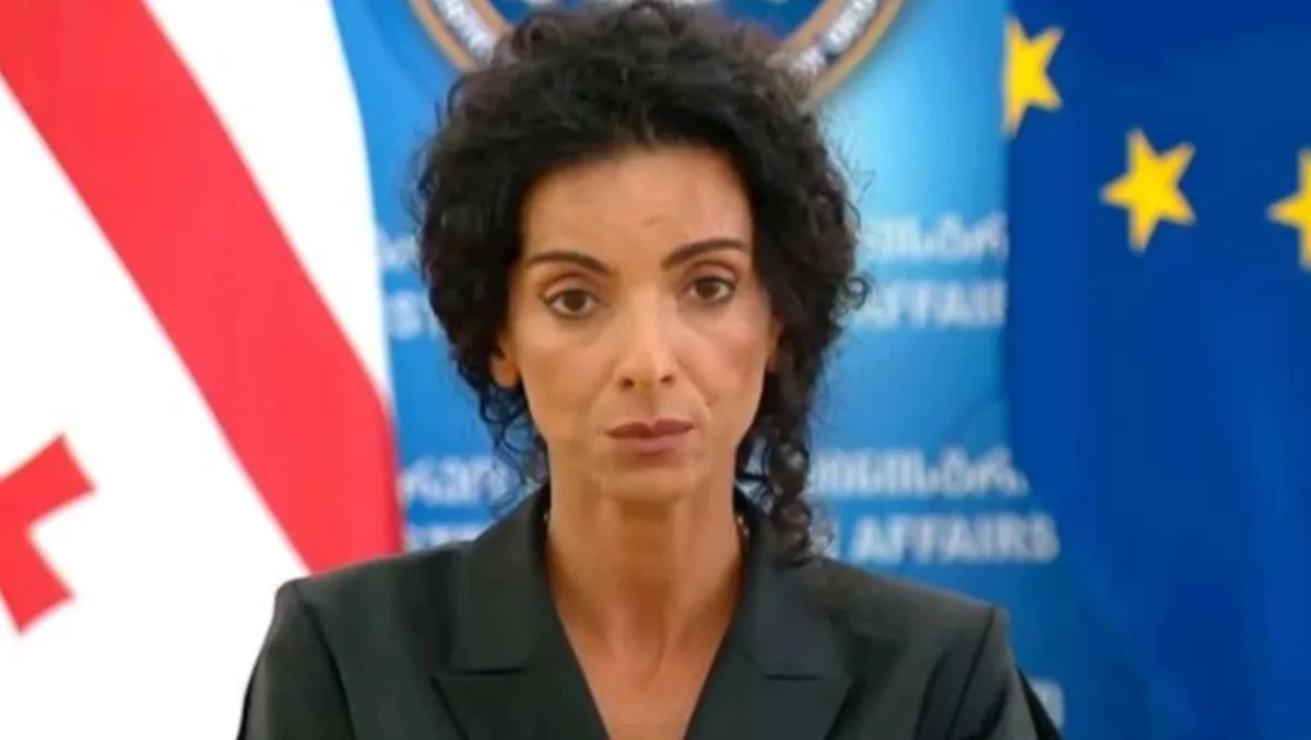 ჩვენ მზად ვიყავით და ვართ, ნებისმიერ დროს ევროკავშირთან დიალოგი გაახლოთ - ბოჭორიშვილის მოადგილე