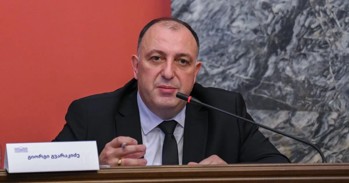 გვარაკიძე სპეცრაზმელების დაკავებაზე: არ აქვს მნიშვნელობა ეს 5 პირი იქნებოდა, 10 თუ 100