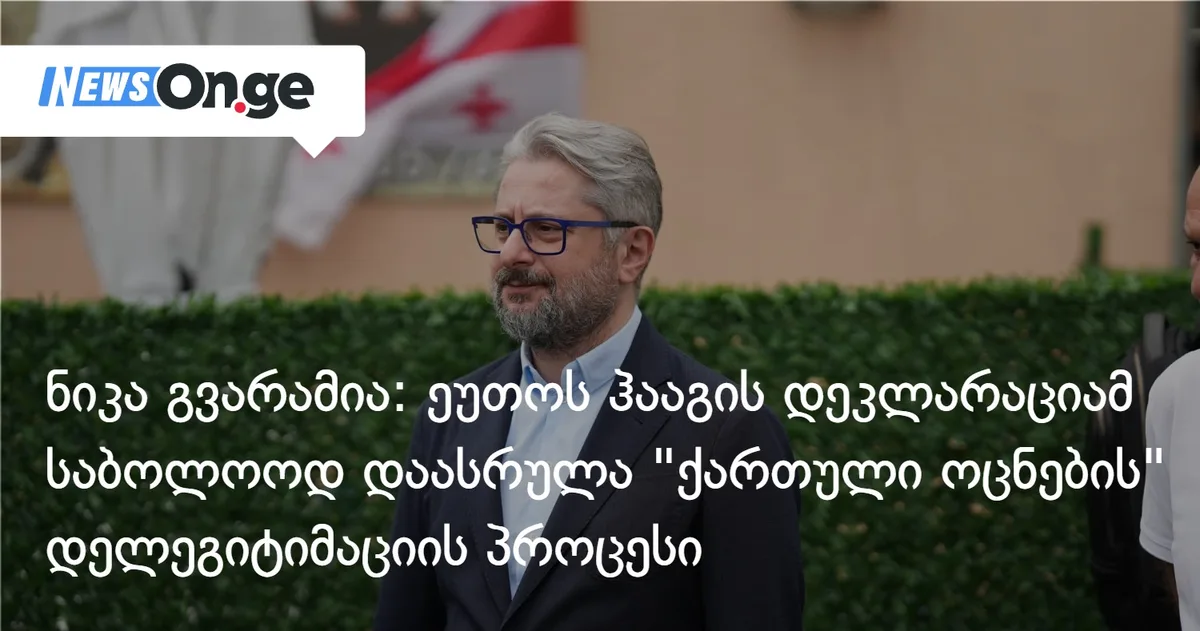 ნიკა გვარამია: ეუთოს ჰააგის დეკლარაციამ საბოლოოდ დაასრულა 