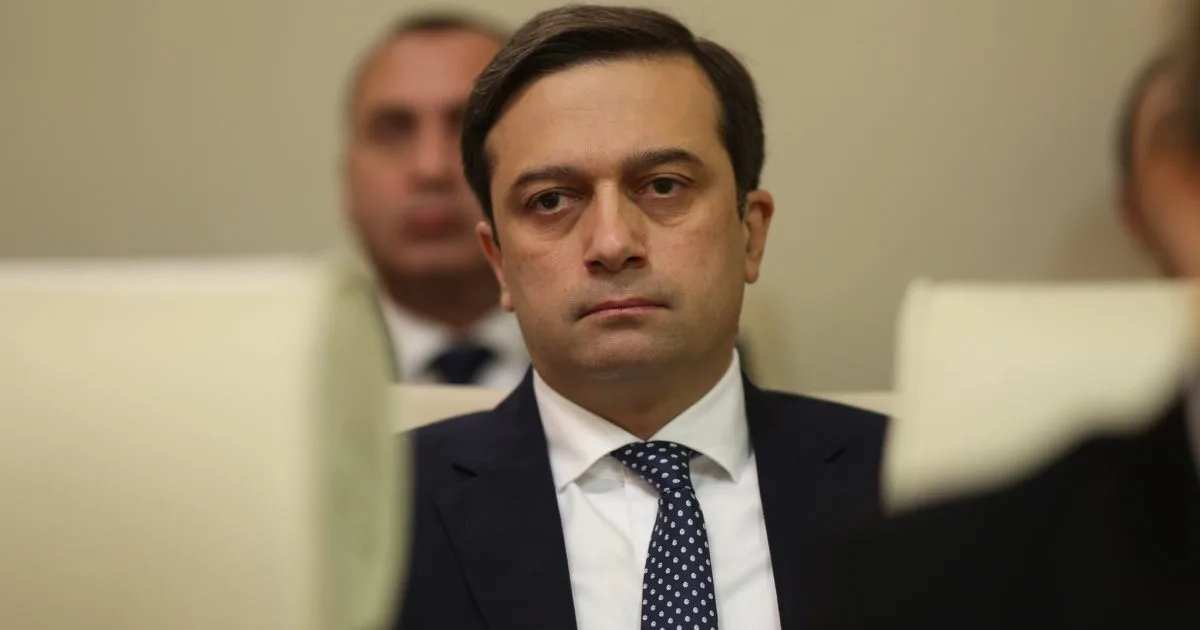 იოსელიანი: 2025 წელს აქციებზე დაკავებული 573 პირიდან არასათანადო მოპყრობაზე მიუთითებდა 302