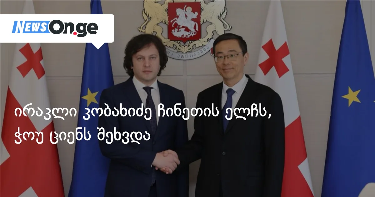 ირაკლი კობახიძე ჩინეთის ელჩს, ჭოუ ციენს შეხვდა