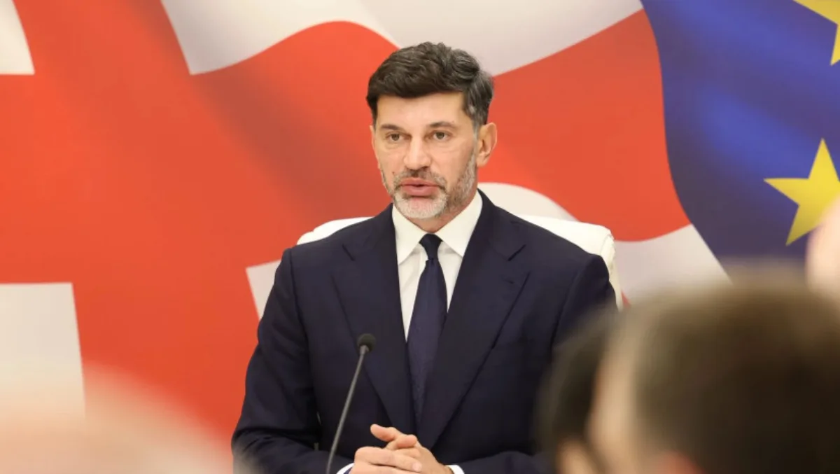 „როდესაც ზოგიერთი ევროპელი ბიუროკრატის მხრიდან ვისმენთ შანტაჟს, ამის მიზეზებიც ხომ ვიცით - საქართველო, პატარა ქვეყანა როგორ ბედავს და მათგან დაუკითხავად ახორციელებს საკუთარ პოლიტიკას