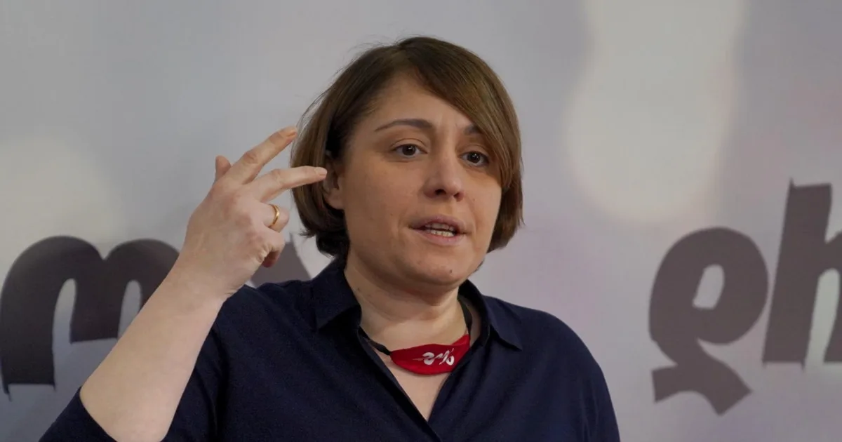 ირანულ დრონებზე ხოშტარიას საჯაროდ გამოთქმულ ეჭვს პროკურატურამ სახელმ��თAვის წინააღმდეგ განცხადებად მიიჩნია