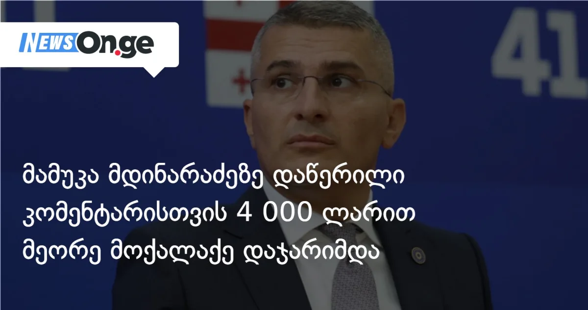 მამუკა მდინარაძეზე დაწერილი კომენტარისთვის 4 000 ლარით მეორე მოქალაქე დაჯარიმდა