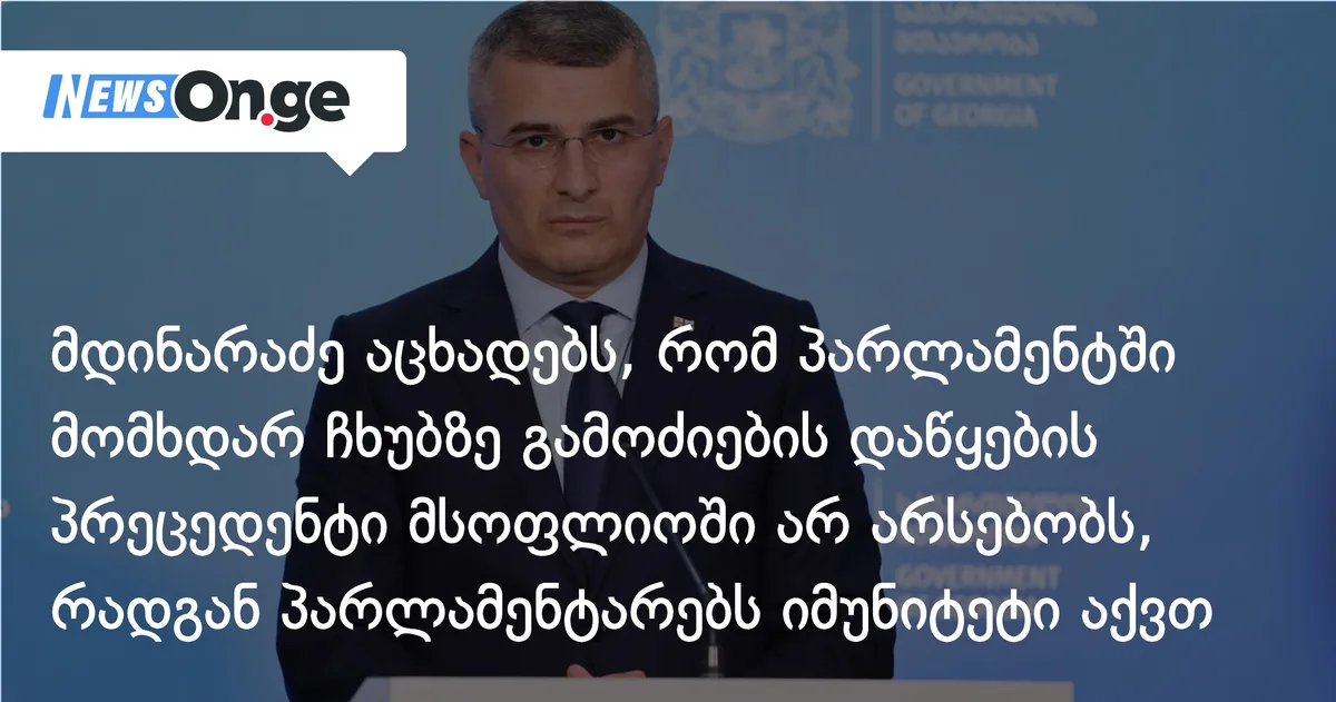 მდინარაძე აცხადებს, რომ პარლამენტში მომხდარ ჩხუბზე გამოძიების დაწყების პრეცედენტი მსოფლიოში არ არსებობს, რადგან პარლამენტარებს იმუნიტეტი აქვთ