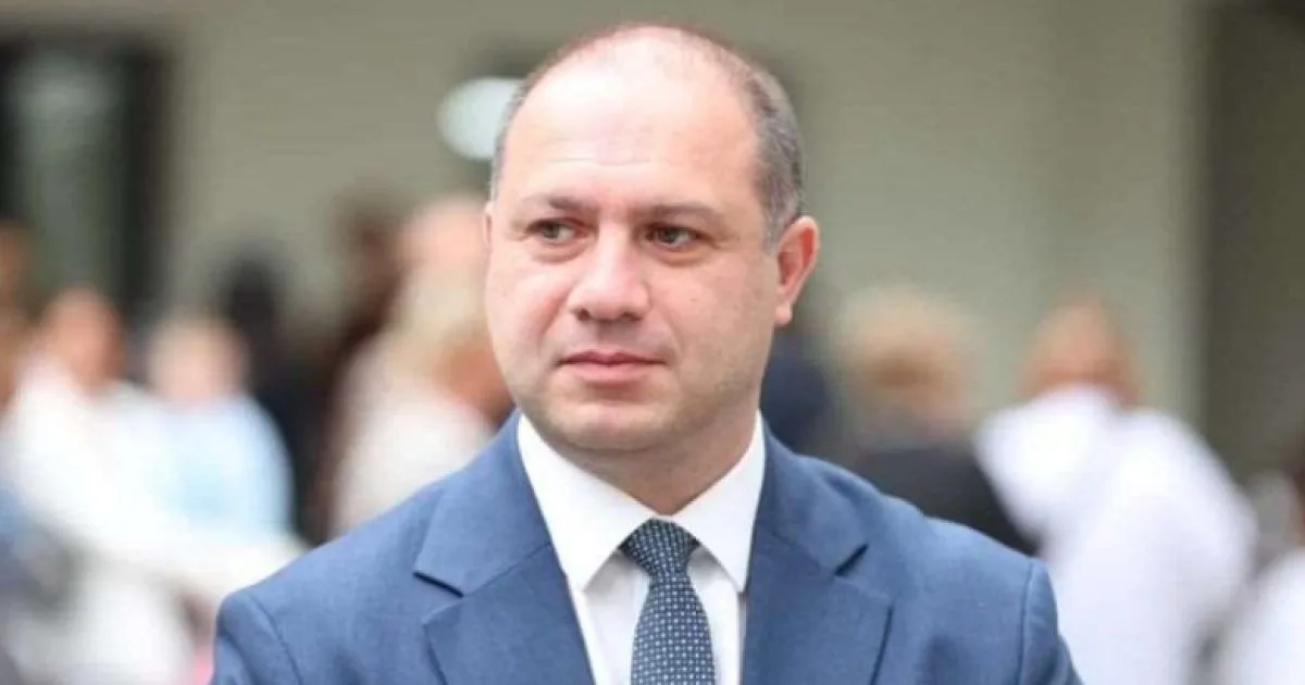 მიქანაძე: სასკოლო წიგნების ყდებზე ეროვნული ღირებულებები იქნება წარმოჩენილი