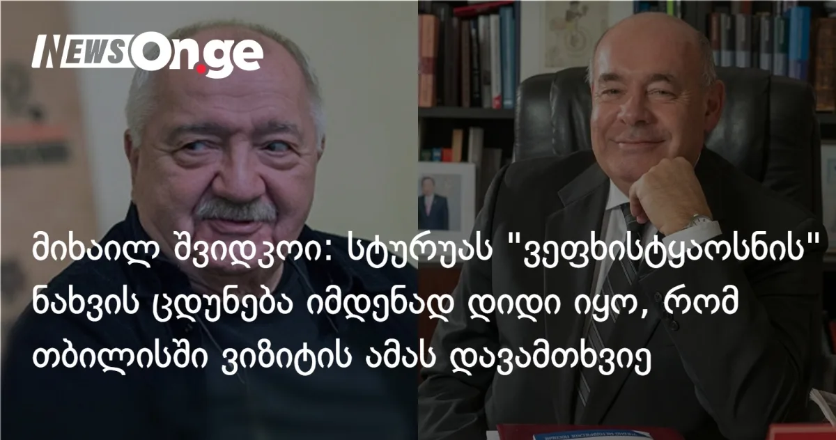 მიხაილ შვიდკოი: სტურუას 