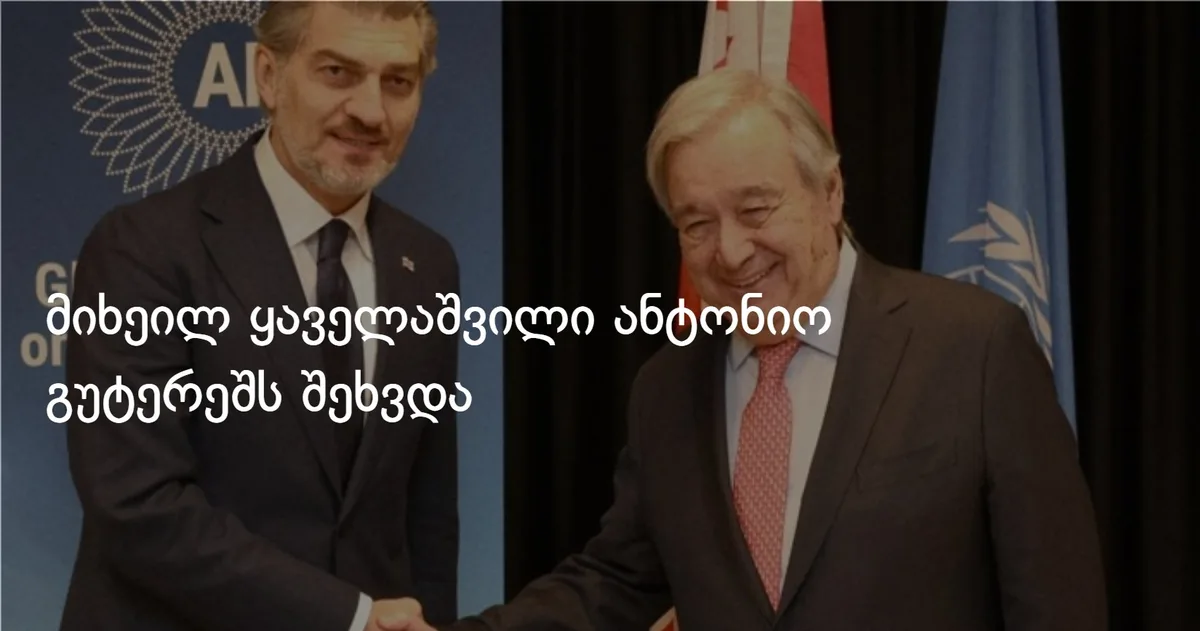 მიხეილ ყაველაშვილი ანტონიო გუტერეშს შეხვდა