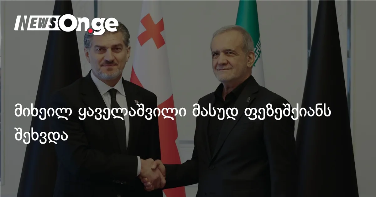 მიხეილ ყაველაშვილი მასუდ ფეზეშქიანს შეხვდა
