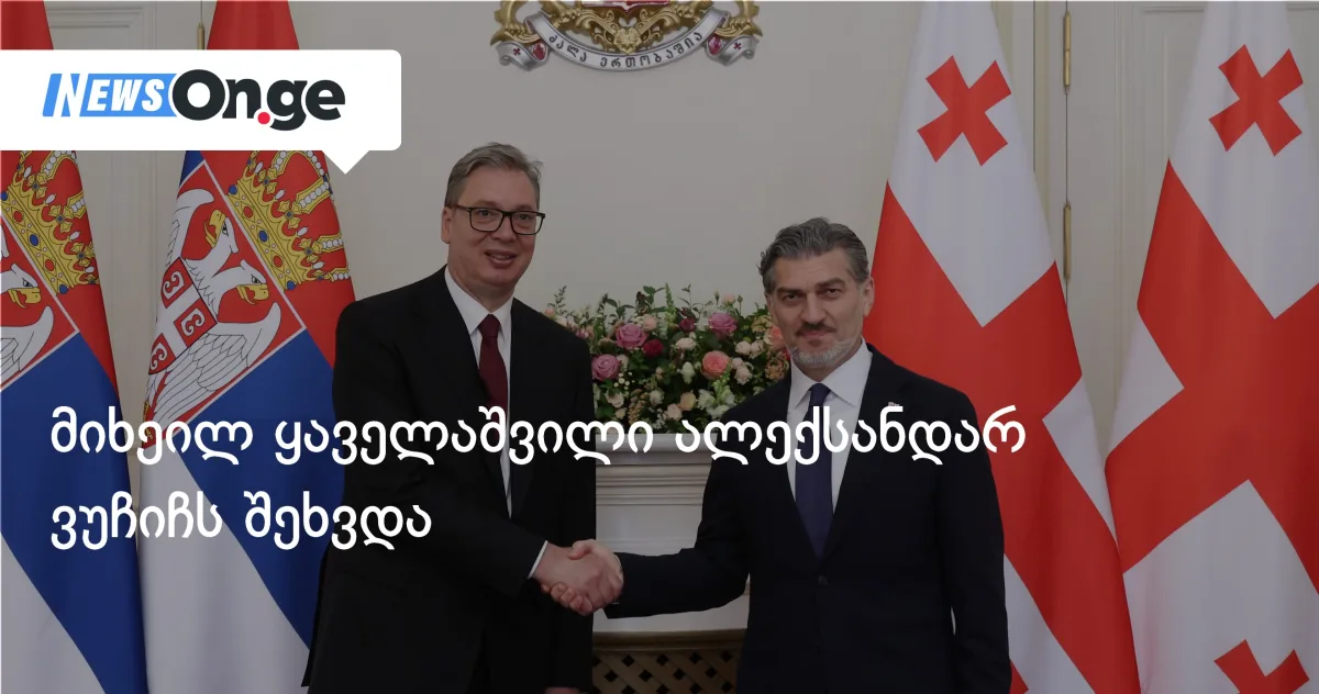 მიხეილ ყაველაშვილი ალექსანდარ ვუჩიჩს შეხვდა
