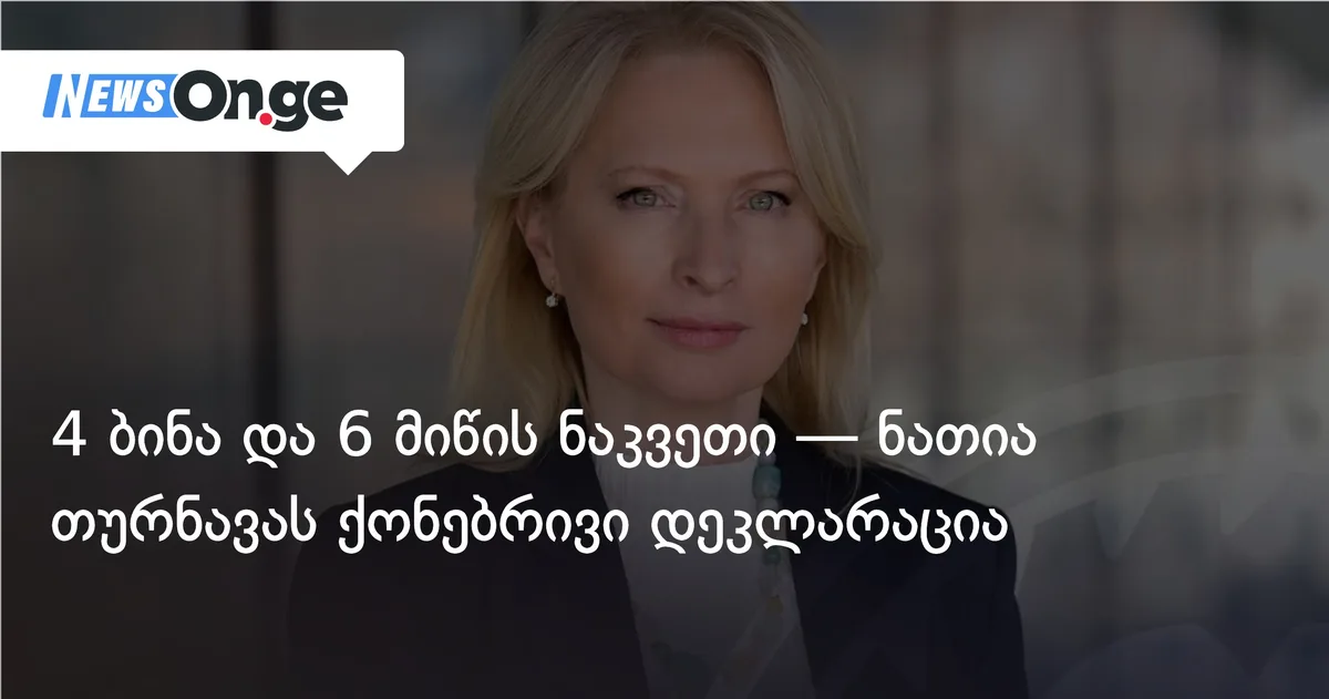 4 ბინა და 6 მიწის ნაკვეთი — ნათია თურნავას ქონებრივი დეკლარაცია