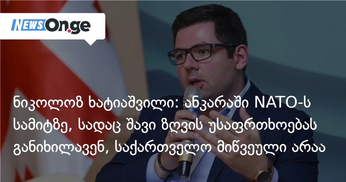ნიკოლოზ ხატიაშვილი: ანკარაში NATO-ს სამიტზე, სადაც შავი ზღვის უსაფრთხოებას განიხილავენ, საქართველო მიწვეული არაა