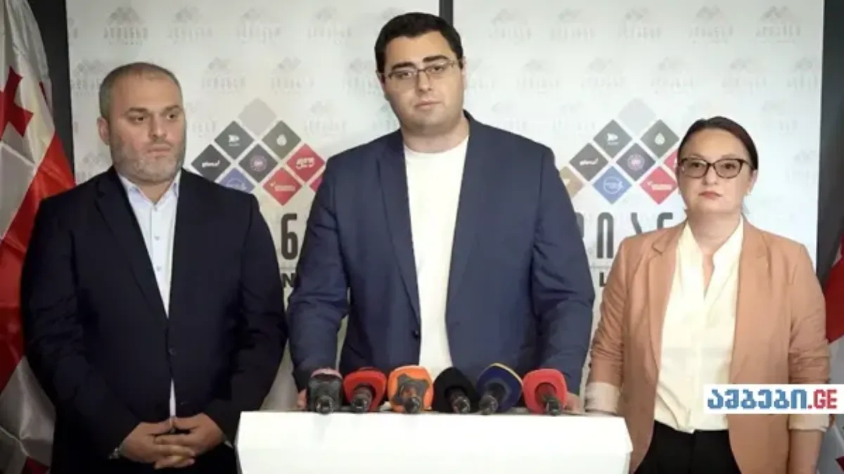 გვაქვს ინფორმაცია, რომ არსებობენ ადამიანები, ვისაც აქვთ სისტემური ძალადობის ამსახველი მასალა, მოგმართავთ, გაასაჯაროოთ — ოპოზიციის ალიანსი