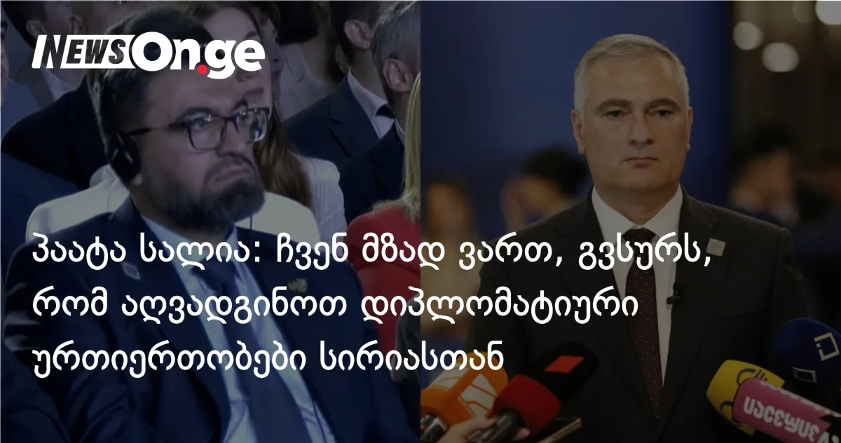 პაატა სალია: ჩვენ მზად ვართ, გვსურს, რომ აღვადგინოთ დიპლომატიური ურთიერთობები სირიასთან