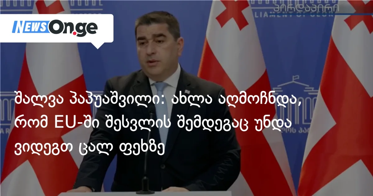 შალვა პაპუაშვილი: ახლა აღმოჩნდა, რომ არა მხოლოდ EU-ში შესვლისთვის უნდა ვიდგეთ ცალ ფეხზე, არამედ შესვლის შემდეგაც