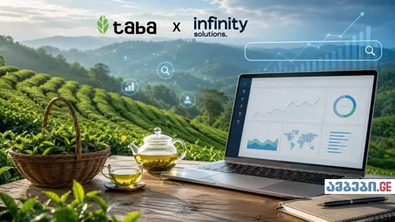 ქართული ბიზნესი ძიების ახალ ეპოქაში - SEO Infinity და TabaTea-ს ჩაის ტურები