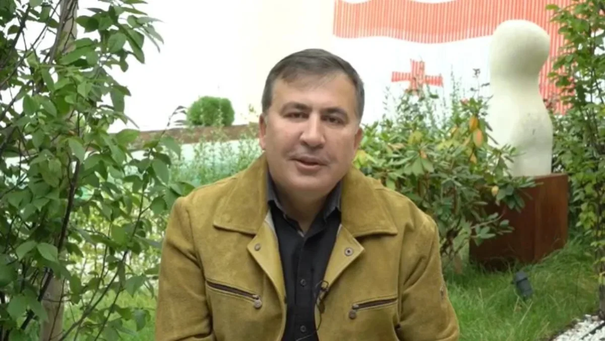 „შესაძლებელია მალე ალისასაც მოუწიოს გადახვეწა. მინდა რომ ჩემს პატარა შვილიშვილს, რომელსაც ქართული სახელი და გვარი აქვს, ჰქონდეს სამშობლო, რომლითაც იამაყებს